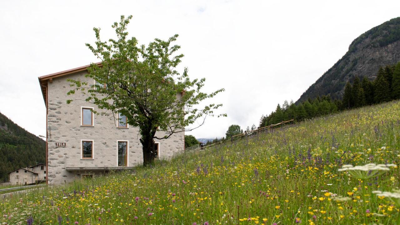 Italianway - Villa Tola Valdisotto Exterior photo